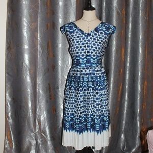 Pleaded Fit and Flare Dress (Plus Size)